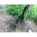 Shovels & Trowels | Fiskars 396530 60-1/4 in. Steel Post Hole Digger image number 2