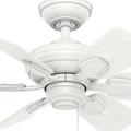 Ceiling Fans | Casablanca 59523 31 in. Traditional Wailea Snow White Outdoor Ceiling Fan image number 3