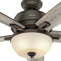 Ceiling Fans | Hunter 54170 60 in. Donegan Onyx Bengal Ceiling Fan with Light image number 6