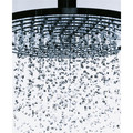 Fixtures | Hansgrohe 27474001 Raindance 10 in. Ceiling Mount Showerhead (Chrome) image number 1