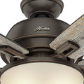 Ceiling Fans | Hunter 54170 60 in. Donegan Onyx Bengal Ceiling Fan with Light image number 4