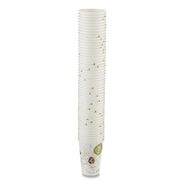 PRODUCTS | Dixie Pathways 16 oz. Paper Hot Cups (50/Pack)