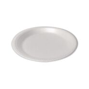 PRODUCTS | Plastifar 9 in. Diameter Poly Bag Plate Foam Dinnerware - White (500/Pack)