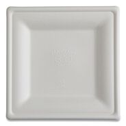 PRODUCTS | Eco-Products EP-P023NFA 10 x 10 Vanguard Renewable and Compostable Sugarcane Plates - White (250/Carton)