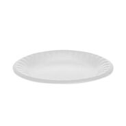 BOWLS AND PLATES | Pactiv Corp. YTH100060000 Unlaminated Foam 6 in. Plates - White (1000/Carton)