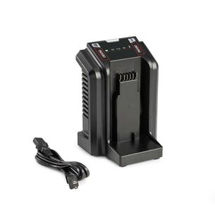 BATTERIES AND CHARGERS | Ridgid North America FXP Battery Charger