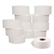 TOILET PAPER | GEN 3.3 in. x 500 ft. 2-Ply Septic Safe JRT Jumbo Bath Tissue - White (12/Carton)
