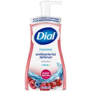 PRODUCTS | Dial 10 oz Antibacterial Foaming Hand Wash - Power Berries Scent (8/Carton)