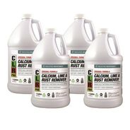 PRODUCTS | CLR PRO 1 gal. Bottle Calcium Lime and Rust Remover (4/Carton)