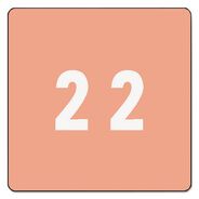 LABELS | Smead 1.5 in. x 1.5 in. 2 Numerical End Tab File Folder Labels - Pink (1-Roll)