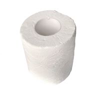 PRODUCTS | GEN 2-Ply Septic Safe Wrapped Bath Tissue - White (96 Rolls/Carton)