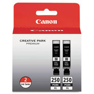 PRODUCTS | Canon 500 Page-Yield (PGI-250XL) ChromaLife100plus High-Yield Ink - Black (2/Pack)