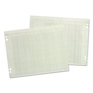 RECORDKEEPING AND FORMS | Wilson Jones WG50-30A 30 Columns 11 in. x 17 in. Loose Sheet Accounting Sheets - Green (100/Pack)