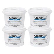 HAND WIPES | Wexford Labs 1-Ply 8 x 5.5 CleanCide Disinfecting Wipes - Fresh Scent/White (4/Carton)