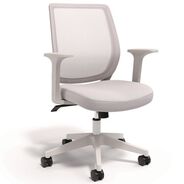OFFICE CHAIRS | Alera 17.09 in. to 20.83 in. Seat Height Supports 275 lbs. Wessex Ergonomic Fabric Mesh Swivel Task Chair - Gray Seat/Back, White Base