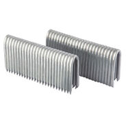 STAPLES | Freeman Freeman 9-Gauge 2 in. Fencing Staples