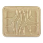 PRODUCTS | World Centric 7.1 in. x 9.1 in. x 0.7 in. Paper Fiber Trays - Natural (500/Carton)