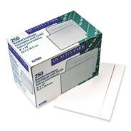 MAILING PACKING AND SHIPPING | Quality Park 9 in. x 12 in. #10 1/2 Cheese Blade Flap Gummed Closure Open-Side Booklet Envelope - White (250/Box)