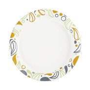 BOWLS AND PLATES | Boardwalk 9 in. Diameter Coated/Soak Proof Deerfield Printed Paper Plates - Multicolor (125/Pack, 8 Packs/Carton)