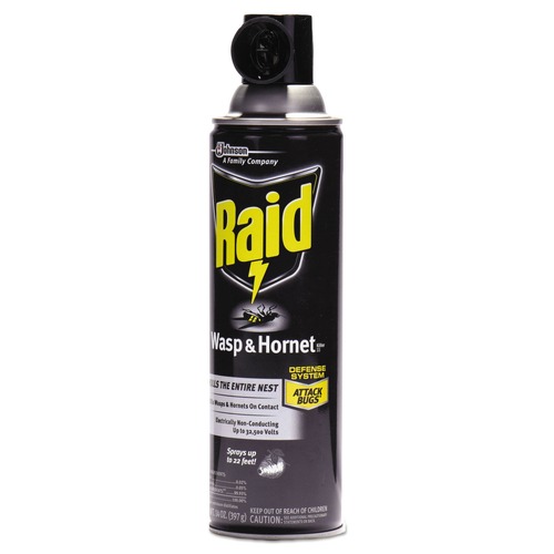 Cleaning & Janitorial Supplies | Raid 668006 14 oz. Wasp and Hornet Killer (12/Carton) image number 0