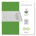 Office Jansan | Eco-Products EP-P023NFA 10 x 10 Vanguard Renewable and Compostable Sugarcane Plates - White (250/Carton) image number 8