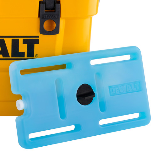 Dewalt 10 qt sales cooler