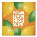 Cleaning & Janitorial Supplies | Pine-Sol 60148CT 14 oz. Bottle Concentrated Multi-Surface Cleaner - Lemon Fresh Scent (12/Carton) image number 8