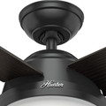 Ceiling Fans | Hunter 59251 52 in. Dempsey Matte Black Ceiling Fan with Light and Remote image number 7