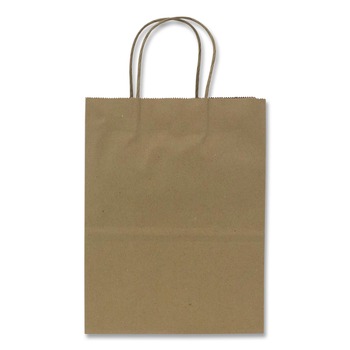 Karat 8.1 in. x 4.5 in. x 10.6 in. Paper Shopping Bag with Rope Handles - Small Size/Kraft (250/Carton)