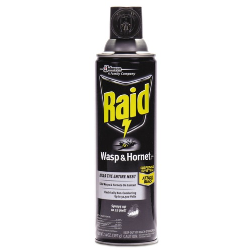 Cleaning & Janitorial Supplies | Raid 668006 14-Ounce Wasp and Hornet Killer Spray (12/Carton) image number 0