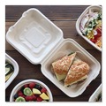 Food Trays, Containers, and Lids | World Centric TO-SC-U85-3L-LF 8.2 in. x 8.8 in. x 2.9 in. Sugarcane Fiber Hinged Takeout Containers - Natural (300/Carton) image number 1