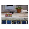 Adhesives & Glues | Flex Seal Products PFSCLRR16 1 lb Flex Paste Super Thick Rubberized Paste - Dries Clear (4/Carton) image number 3