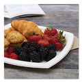 Food Service | SOLO 10PSC-2050 10 in. Bare Eco-Forward Sugarcane Dinnerware Plate - Ivory (125/Pack) image number 1