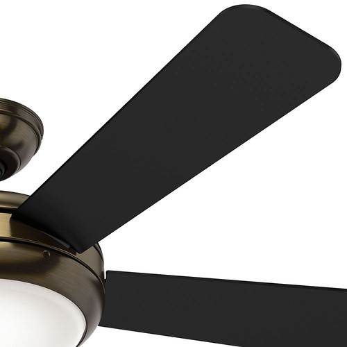 Hunter 59053 Palermo 52 In Contemporary Brushed Bronze Black Ceiling Fan With Light Cpo S Hunter 59053 Palermo 52 In, Palermo Ceiling Fan