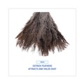 Cleaning Brushes | Boardwalk BWK14FD 14 in. Professional Ostrich Feather Duster - Gray image number 5