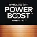 Batteries | Duracell MN24P36CT Power Boost CopperTop Alkaline AAA Batteries (144/Carton) image number 1
