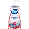 Cleaning & Janitorial Supplies | Dial 17000 34727 10 oz Antibacterial Foaming Hand Wash - Power Berries Scent (8/Carton) image number 0