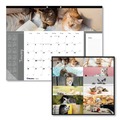 Office & Office Supplies | Blueline C194115 12-Month (Jan-Dec): 2026 22 in. x 17 in. Furry Kittens Photography Pets Collection Monthly Desk Pad - White Sheets, Black Binding image number 0