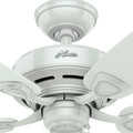 Ceiling Fans | Hunter 53350 48 in. Sea Wind White Ceiling Fan image number 4