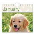 Calendars & Planners | AT-A-GLANCE DMW16728 12-Month (Jan to Dec): 2026 15.5 in. x 22.75 in. Puppies Photography Puppies Monthly Wall Calendar - White/Multicolor Sheets image number 5