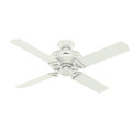Ceiling Fans | Hunter 54180 52 in. Brunswick Fresh White Ceiling Fan with Handheld Remote image number 0