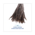 Dusters | Boardwalk BWK31FD 16 in. Handle Professional Ostrich Feather Duster image number 5