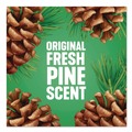 Cleaning & Janitorial Supplies | Pine-Sol 60149CT 20 oz. Bottle Multi-Surface Concentrated Disinfectant Cleaner - Pine Scent (8/Carton) image number 8