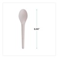 Labor Day Sale! Save $30 off $199! | Eco-Products EP-S013-W Plantware 6 in. Spoon Compostable Cutlery - White (1000/Carton) image number 5