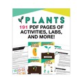 Office Electronics & Batteries | Carson-Dellosa 109565 191 Pages Grades K to 3 (Ages 5 to 8) In a Flash USB - Plants image number 7