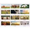Calendars & Planners | House of Doolittle 316 11 in. x 14 in. 12-Month (Jan-Dec 2026) 100 Percent Recycled Farm Life Wall Calendar - White/Multicolor Sheets image number 1
