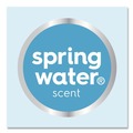 Hand Soaps | Dial Professional 17000 35458 1 Gallon Antibacterial Foaming Hand Wash Refill - Spring Water Scent (4/Carton) image number 4