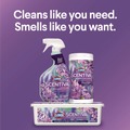 Bulk Savings Pricing 2 | Clorox 60523EA Scentiva 32 oz Spray Bottle Multi Surface Cleaner - Tuscan Lavender and Jasmine image number 10