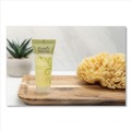 Office Jansan | Pure & Natural PNN 750 0.75 oz. Conditioning Shampoo - Fresh Scent (288/Carton) image number 3