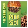 Cleaning & Janitorial Supplies | Pine-Sol 60146CT 14 oz. Bottle Multi-Surface Concentrated Disinfectant Cleaner - Pine Scent (12/Carton) image number 9
